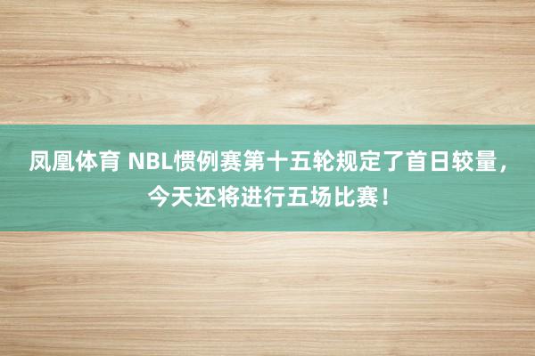 凤凰体育 NBL惯例赛第十五轮规定了首日较量，<a href=