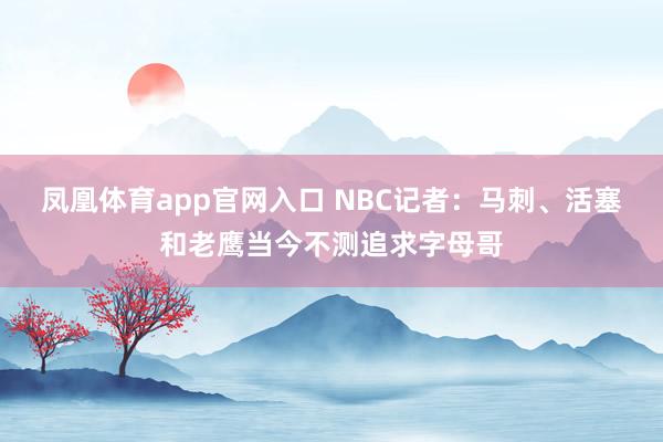 凤凰体育app官网入口 NBC记者：马刺、活塞和老鹰当今不测追求字母哥
