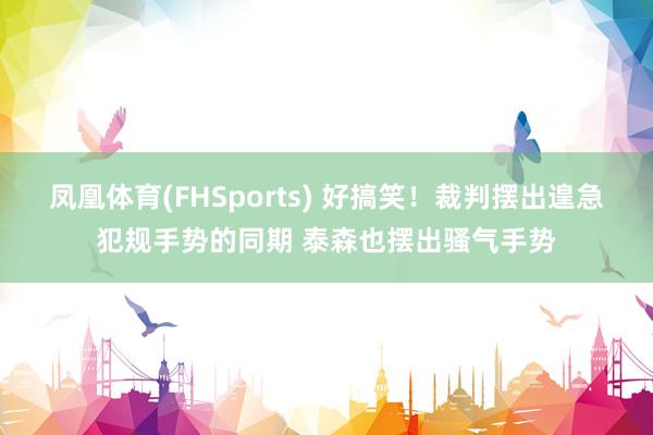 凤凰体育(FHSports) 好搞笑！裁判摆出遑急犯规手势的同期 泰森也摆出骚气手势