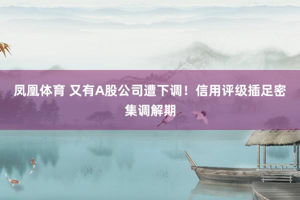 凤凰体育 又有A股公司遭下调！信用评级插足密集调解期
