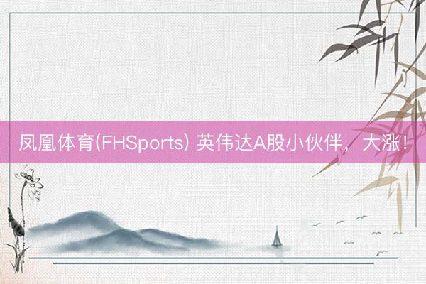 凤凰体育(FHSports) 英伟达A股小伙伴，大涨！