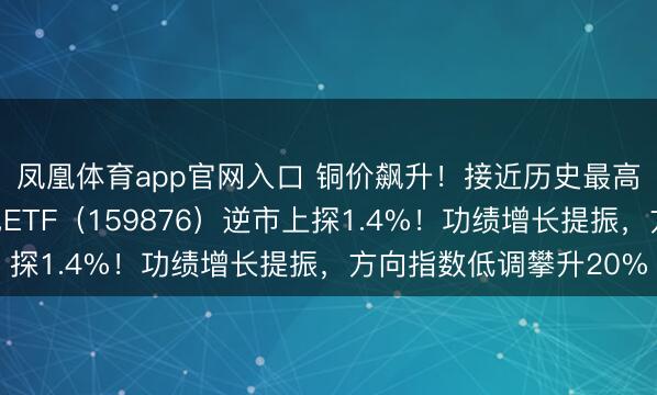 凤凰体育app官网入口 铜价飙升！接近历史最高水平！华宝基金有色ETF（159876）逆市上探1.4%！功绩增长提振，方向指数低调攀升20%