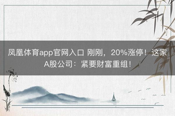 凤凰体育app官网入口 刚刚,20%涨停!这家A股公司:紧要财富重组!