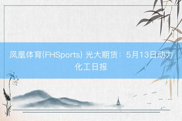 凤凰体育(FHSports) 光大期货：5月13日动力化工日报