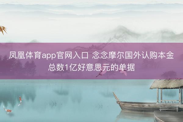 凤凰体育app官网入口 念念摩尔国外认购本金总数1亿好意思元的单据
