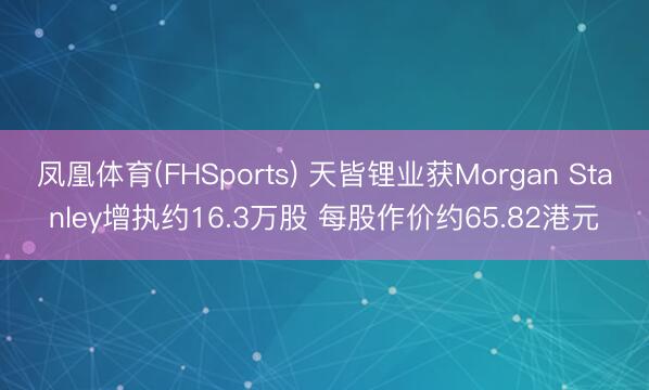 凤凰体育(FHSports) 天皆锂业获Morgan Stanley增执约16.3万股 每股作价约65.82港元