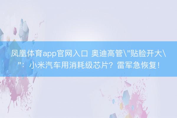 凤凰体育app官网入口 奥迪高管