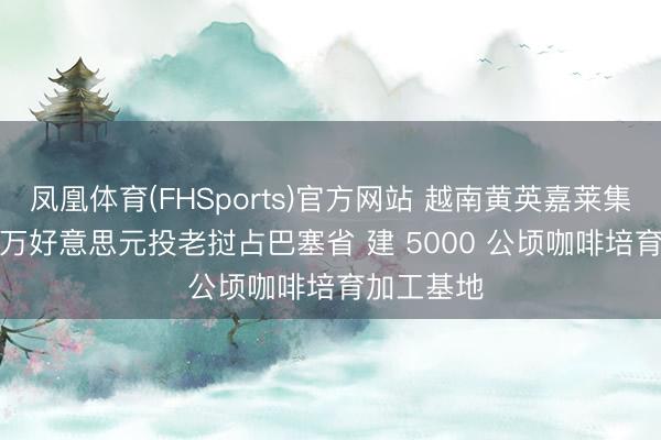 凤凰体育(FHSports)官方网站 越南黄英嘉莱集团 5000 万好意思元投老挝占巴塞省 建 5000 公顷咖啡培育加工基地