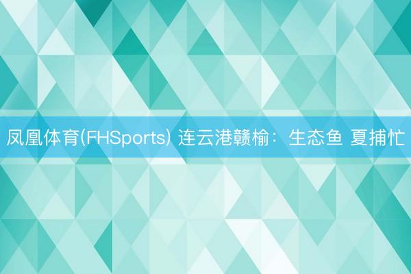 凤凰体育(FHSports) 连云港赣榆：生态鱼 夏捕忙