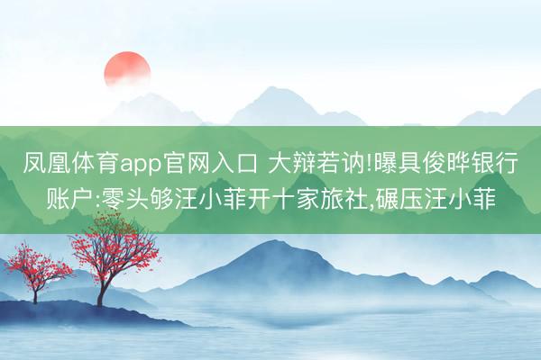 凤凰体育app官网入口 大辩若讷!曝具俊晔银行账户:零头够汪小菲开十家旅社，碾压汪小菲