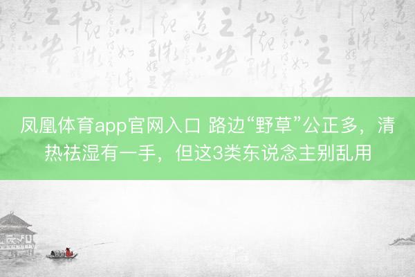 凤凰体育app官网入口 路边“野草”公正多，清热祛湿有一手，但这3类东说念主别乱用