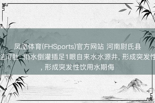 凤凰体育(FHSports)官方网站 河南尉氏县通报住户吐逆泻肚: 雨水倒灌插足1眼自来水水源井， 形成突发性饮用水期侮