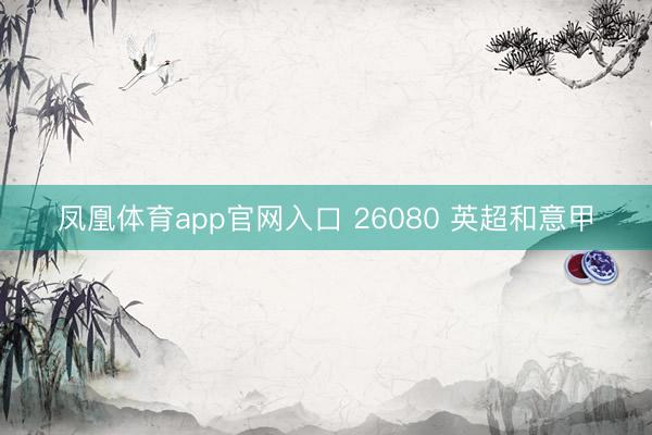 凤凰体育app官网入口 26080 英超和意甲