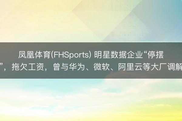 凤凰体育(FHSports) 明星数据企业“停摆”，拖欠工资，曾与华为、微软、阿里云等大厂调解