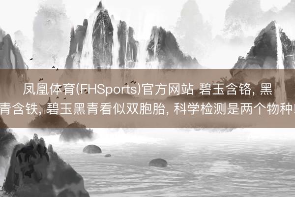 凤凰体育(FHSports)官方网站 碧玉含铬， 黑青含铁， 碧玉黑青看似双胞胎， 科学检测是两个物种!