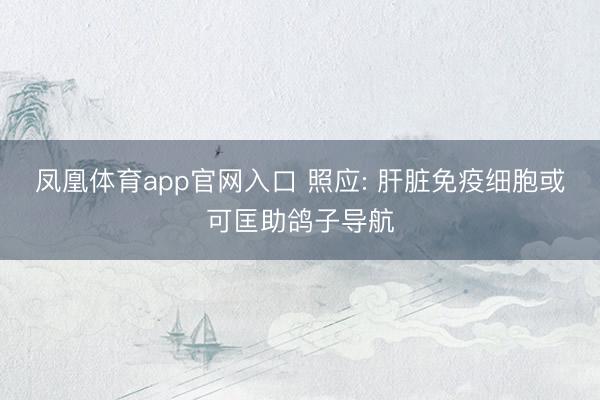 凤凰体育app官网入口 照应: 肝脏免疫细胞或可匡助鸽子导航