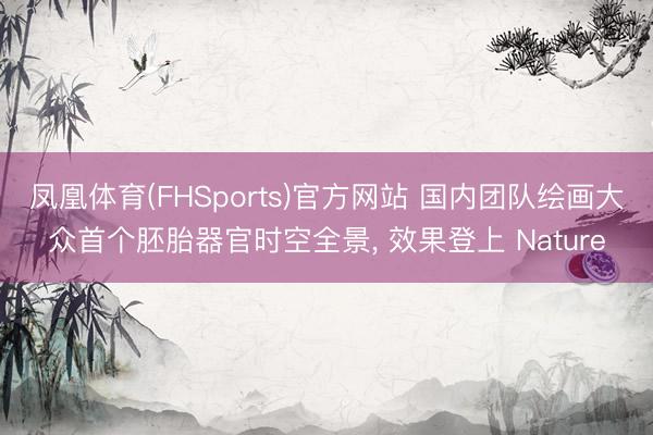 凤凰体育(FHSports)官方网站 国内团队绘画大众首个胚胎器官时空全景， 效果登上 Nature