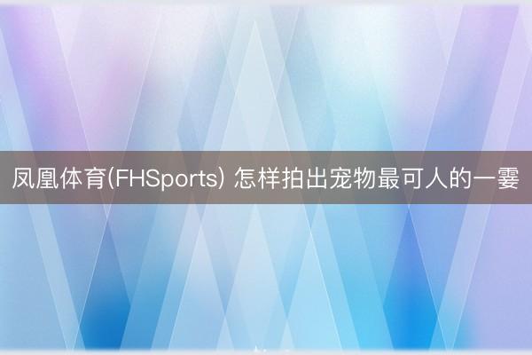 凤凰体育(FHSports) 怎样拍出宠物最可人的一霎