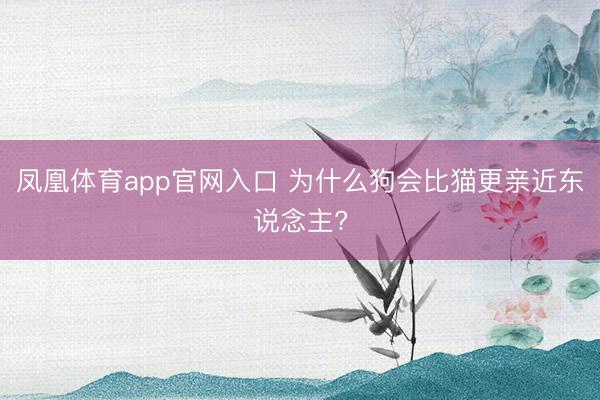 凤凰体育app官网入口 为什么狗会比猫更亲近东说念主?