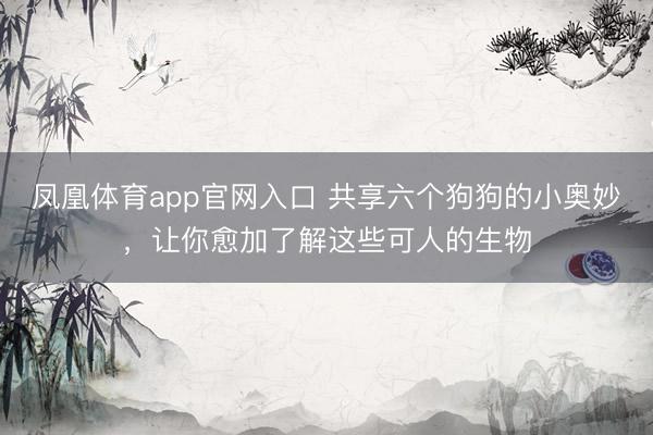 凤凰体育app官网入口 共享六个狗狗的小奥妙，让你愈加了解这些可人的生物
