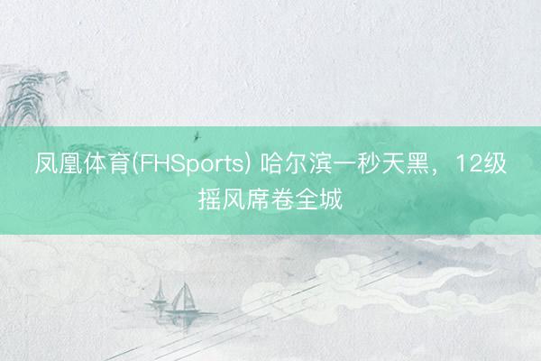 凤凰体育(FHSports) 哈尔滨一秒天黑，12级摇风席卷全城