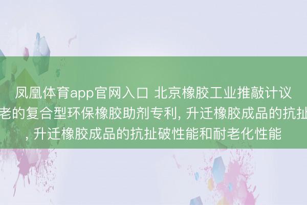 凤凰体育app官网入口 北京橡胶工业推敲计议院央求兼具补强和防老的复合型环保橡胶助剂专利， 升迁橡胶成品的抗扯破性能和耐老化性能