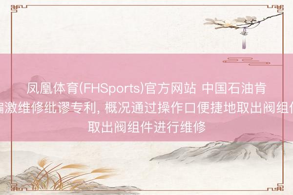 凤凰体育(FHSports)官方网站 中国石油肯求止回阀偏激维修纰谬专利， 概况通过操作口便捷地取出阀组件进行维修