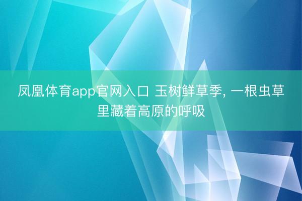 凤凰体育app官网入口 玉树鲜草季， 一根虫草里藏着高原的呼吸
