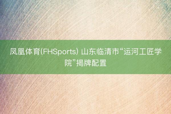 凤凰体育(FHSports) 山东临清市“运河工匠学院”揭牌配置