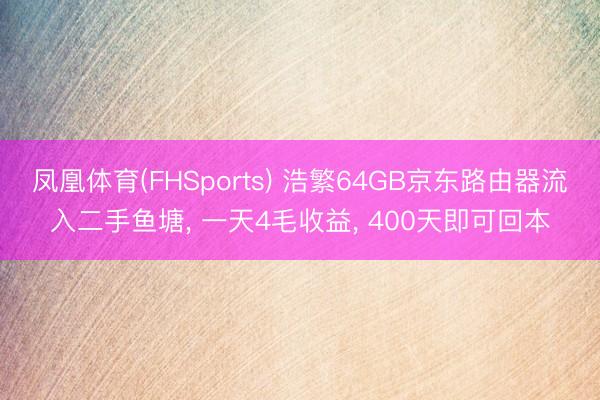 凤凰体育(FHSports) 浩繁64GB京东路由器流入二手鱼塘， 一天4毛收益， 400天即可回本